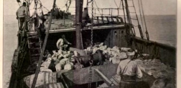 Milli Mücadele’nin Başlangıcı: 19 Mayıs 1919